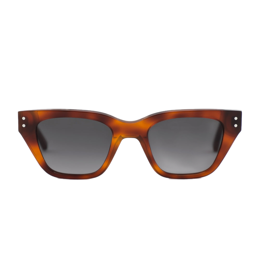 Aviator Crossover - Amber Tortoise Polarized – Shady Rays® | Polarized  Sunglasses